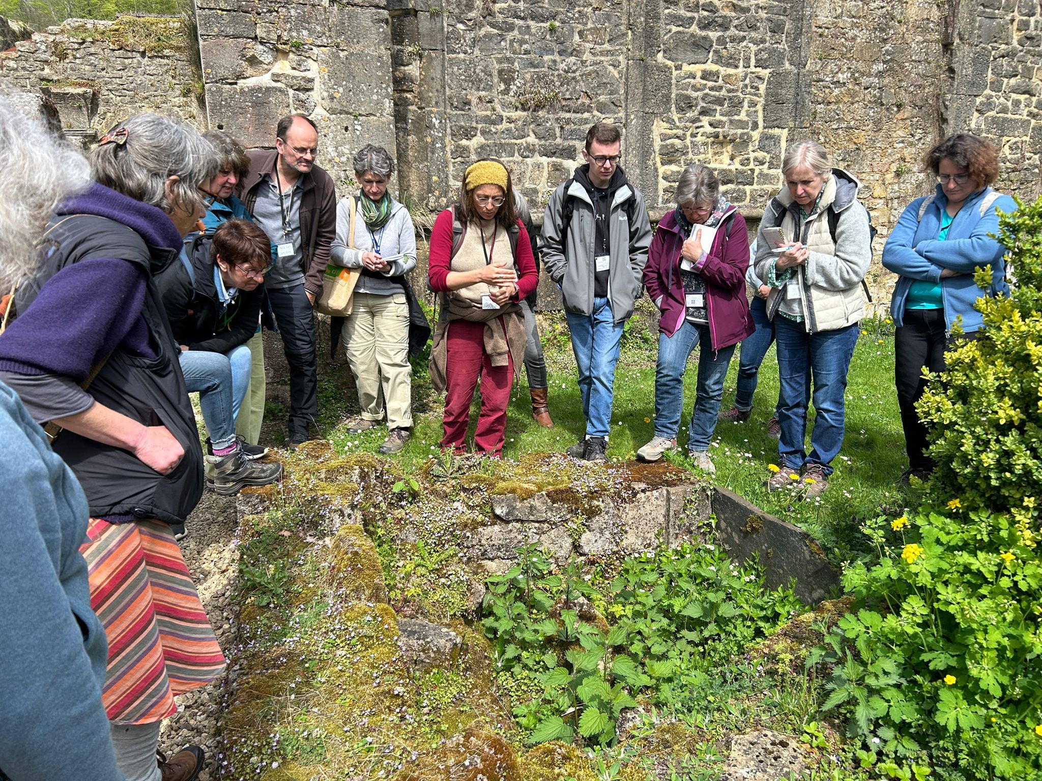 À l'école des plantes